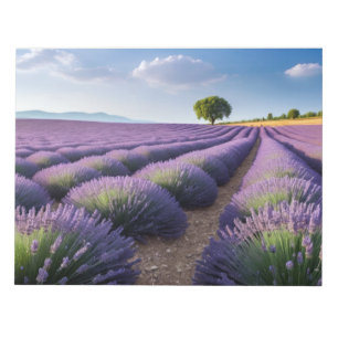 Bloc-note Lavande Nature Extérieur Paysage Calme Tranquille