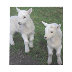 Bloc-note Le bébé mignon de ranch de ferme jumelle l'agneau