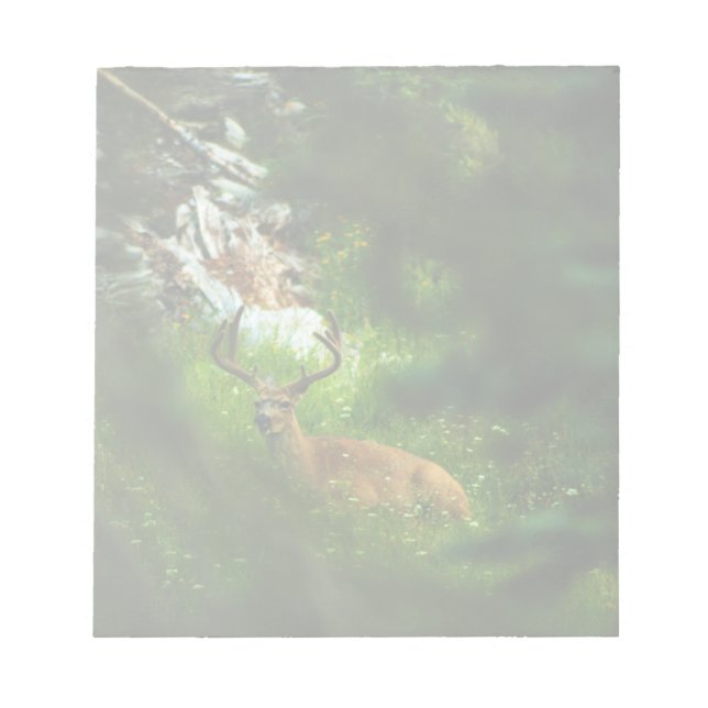 Bloc-note Le Prince Forêt (Devant)