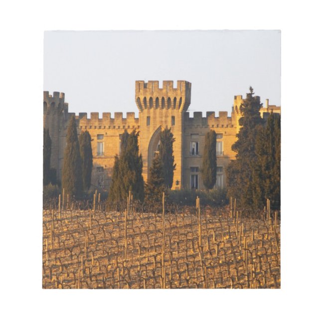 Bloc-note Le vignoble avec des vignes de syrah et le château (Devant)