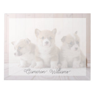 Bloc-note Les bébés animaux les plus mignons 3 bébés Corgi