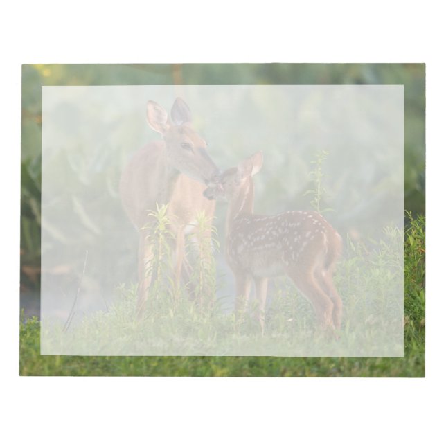 Bloc-note Les bébés animaux les plus mignons | Cerf et bébé (Devant)