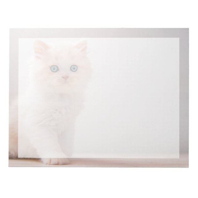 Bloc-note Les bébés animaux les plus mignons | Chat aux yeux (Devant)