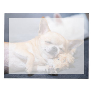 Bloc-note Les bébés animaux les plus mignons Chien Chihuah