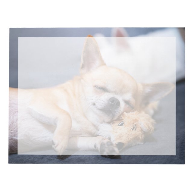 Bloc-note Les bébés animaux les plus mignons | Chien Chihuah (Devant)