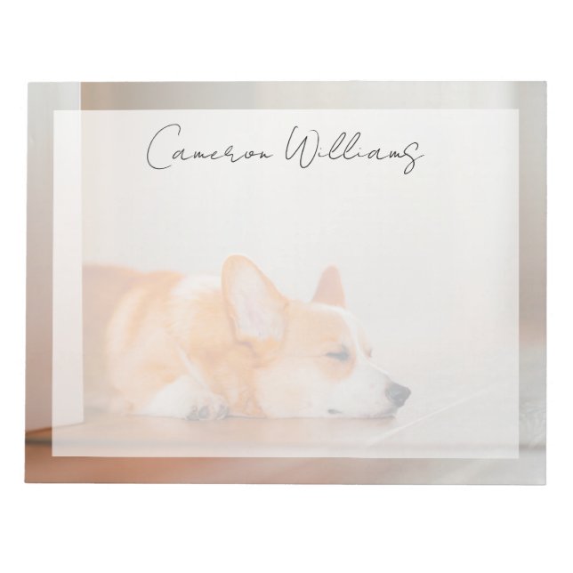 Bloc-note Les bébés animaux les plus mignons | Corgi endormi (Devant)
