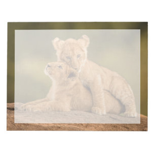 Bloc-note Les bébés animaux les plus mignons Deux lionceau