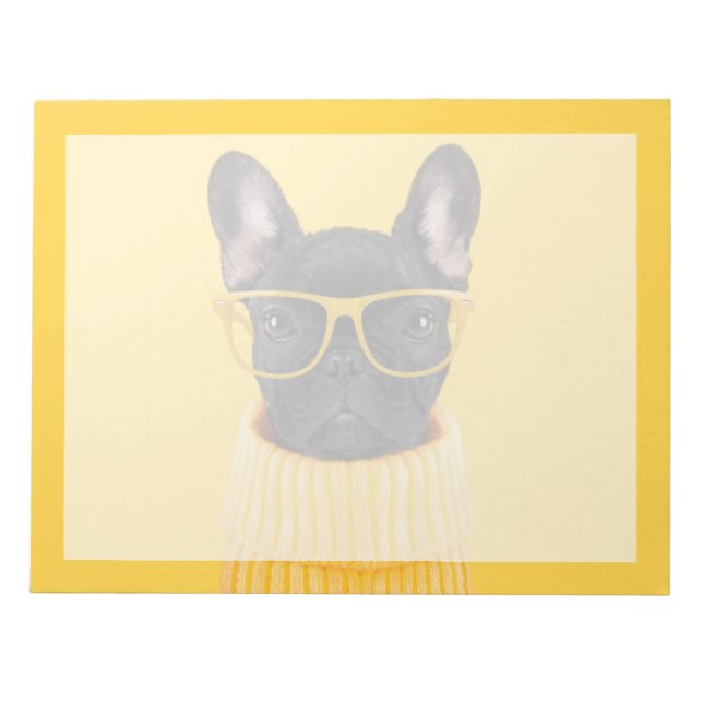 Bloc-note Les bébés animaux les plus mignons | Lunettes de s (Devant)