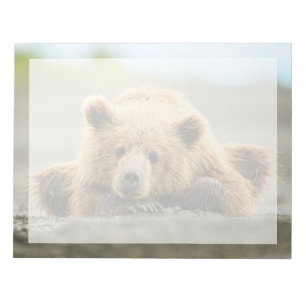 Bloc-note Les bébés animaux les plus mignons Ourson brun c