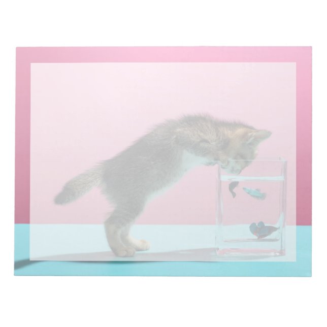 Bloc-note Les bébés animaux les plus mignons | Un chaton reg (Devant)