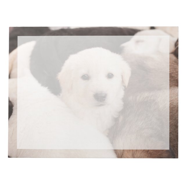 Bloc-note Les bébés animaux les plus mignons | Un tas mignon (Devant)