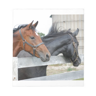 Bloc-note Les Chevaux d'Amour