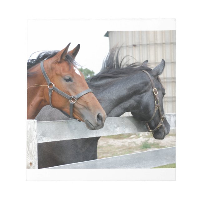 Bloc-note Les Chevaux d'Amour (Devant)