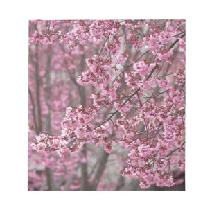 Bloc-note Les fleurs de cerisiers Sakura sont roses