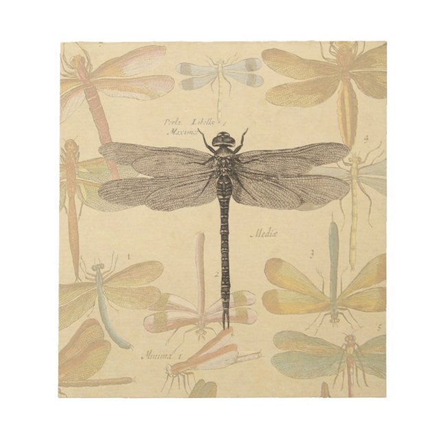 Bloc-note Libellule Vintage Antique Classique Nature (Devant)