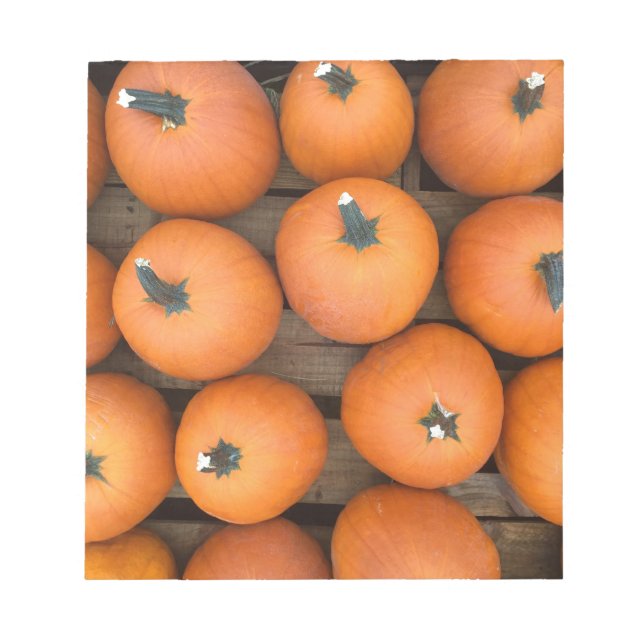 Bloc-note Lignes citrouilles (Devant)