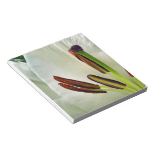 Bloc-note Lilium Oriental Blanc