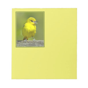 Bloc-note Loriole de verger - Photographie originale