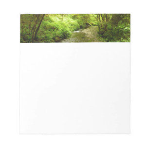 Bloc-note Lost Man Creek I au parc national de Redwood