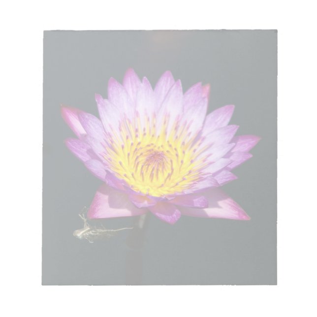 Bloc-note Lotus pourpre et jaune avec la nymphe des libellul (Devant)