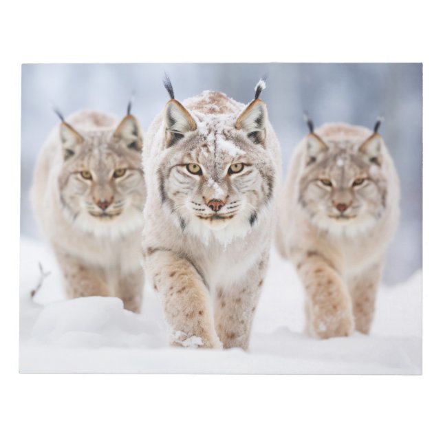 Bloc-note Lynx Famille d'animaux errants Nature (Devant)