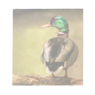 Bloc-note Mallard Duck