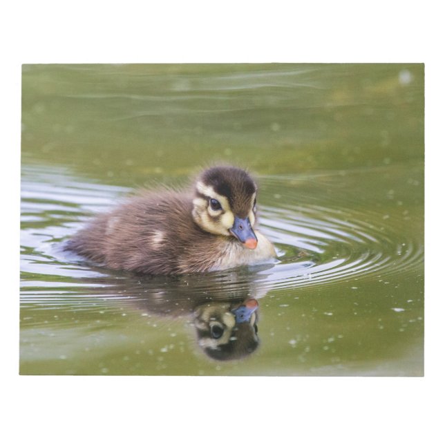Bloc-note Mallard Duckling (Devant)