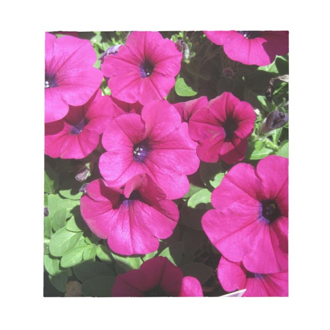 Bloc-note Many Purple Petunias (Devant)
