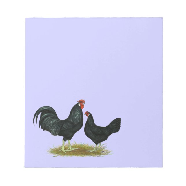 Bloc-note Marsh Daisy Chickens (Devant)