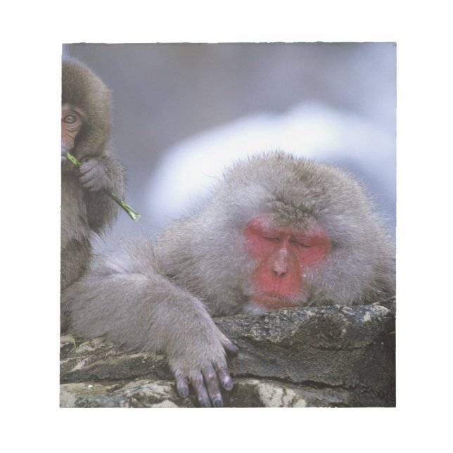 Bloc-note Mère et enfant singe des neiges, Jigokudani, Nagan (Devant)