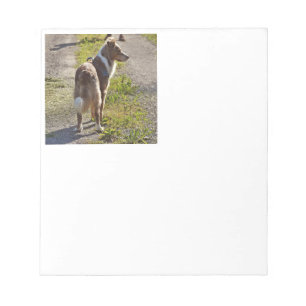 Bloc-note Miniature American Shepherd Red Merle avec Queue