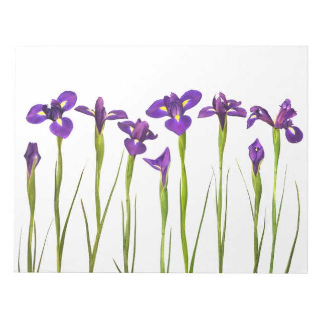 Bloc-note Modèle personnalisé d'Iris violets - Fleur d'Iris (Devant)