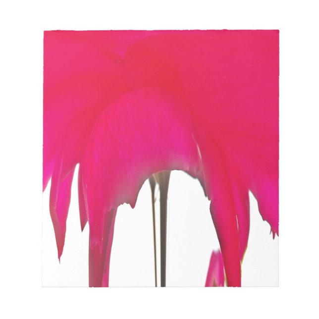 Bloc-note Moment capturé : Une Élégance Pétale Rose Rouge (Devant)