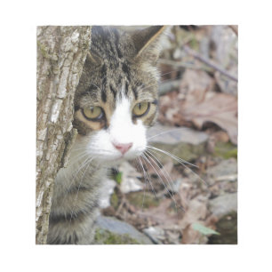 Bloc-note Mon chat de chasse