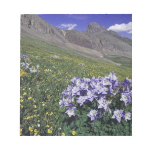 Bloc-note Montagnes et fleurs sauvages dans un pré alpin, Bl