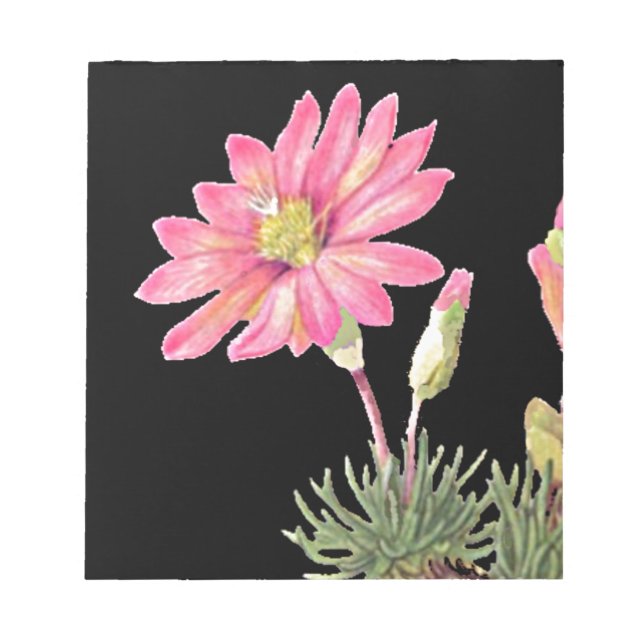 Bloc-note Montana Bitterroot (Devant)