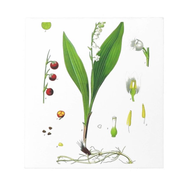 Bloc-note Muguet de mai (Devant)