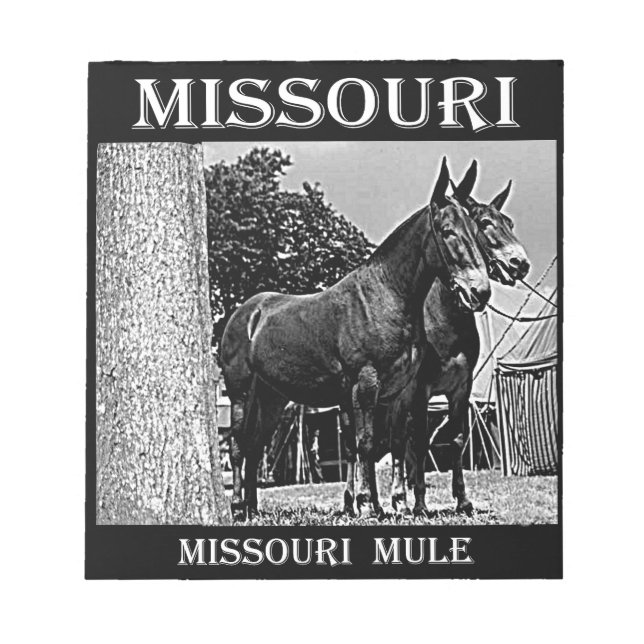 Bloc-note Mulet du Missouri (Devant)