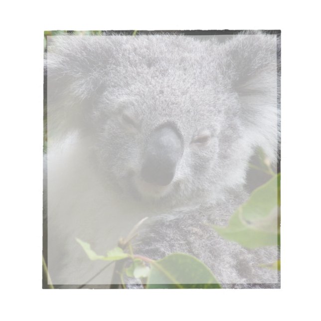Bloc-note note de koala (Devant)