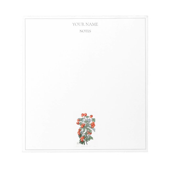 Bloc-note NOTEPAD vintage BOTANIQUE "HAWTHORN" (Devant)