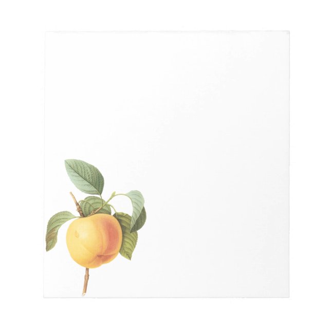 Bloc-note Nourriture de fruits anciens, pomme Calville par R (Devant)