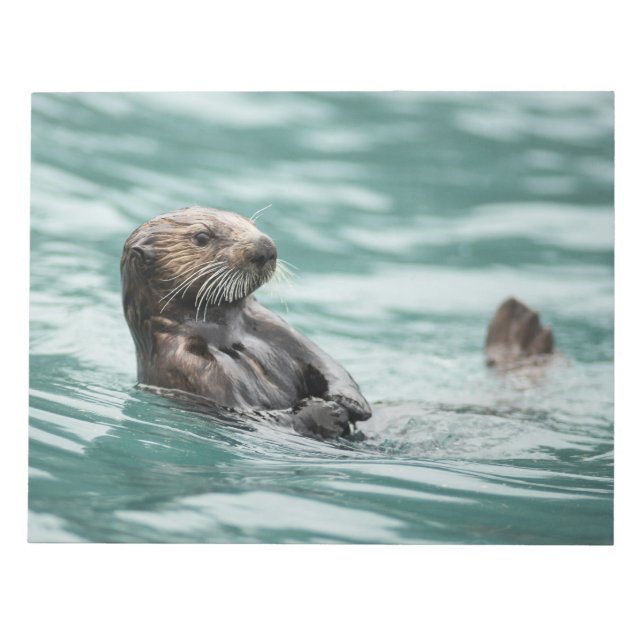 Bloc-note Observation de la Loupe de mer (Devant)