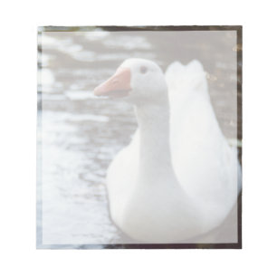 Bloc-note Oie blanche
