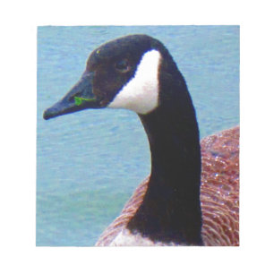 Bloc-note Oie canadienne sauvage