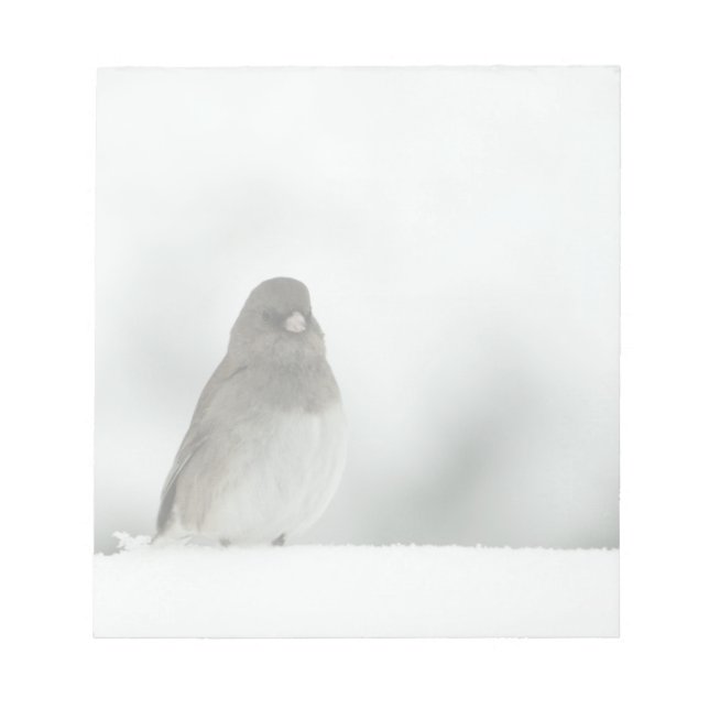 Bloc-note Oiseau d'hiver (Devant)