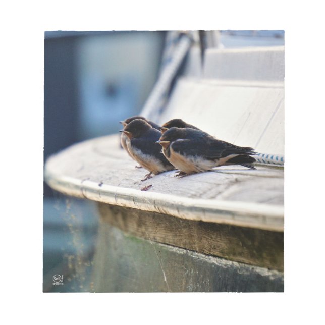 Bloc-note Oiseaux blancs sur une ligne dans le port (Devant)
