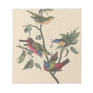 Bloc-note Oiseaux colorés de l'art ancien d'Audubon, Pinson