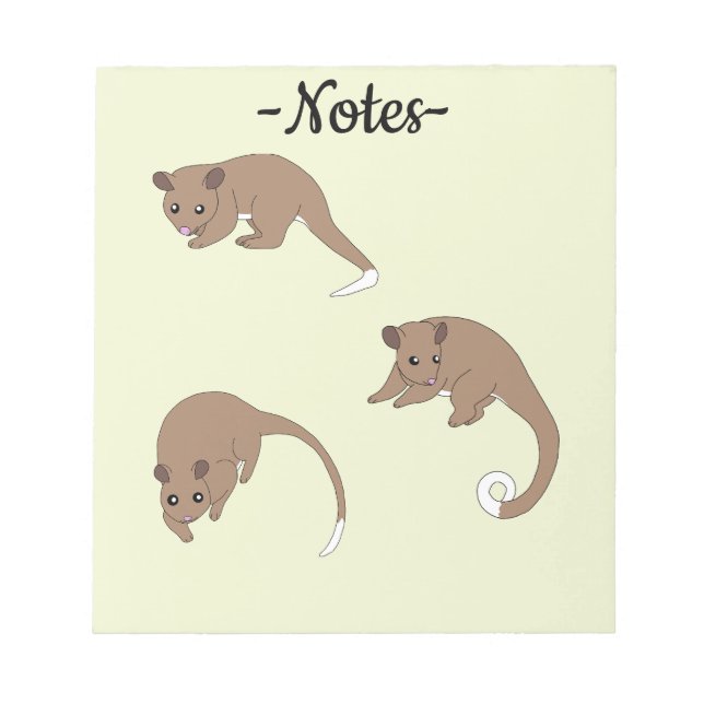 Bloc-note Opossums à queue annelée (Devant)