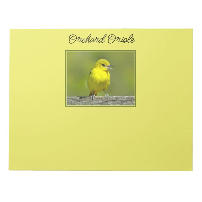 Bloc-note Orchard Oriole - Photo originale (Devant)