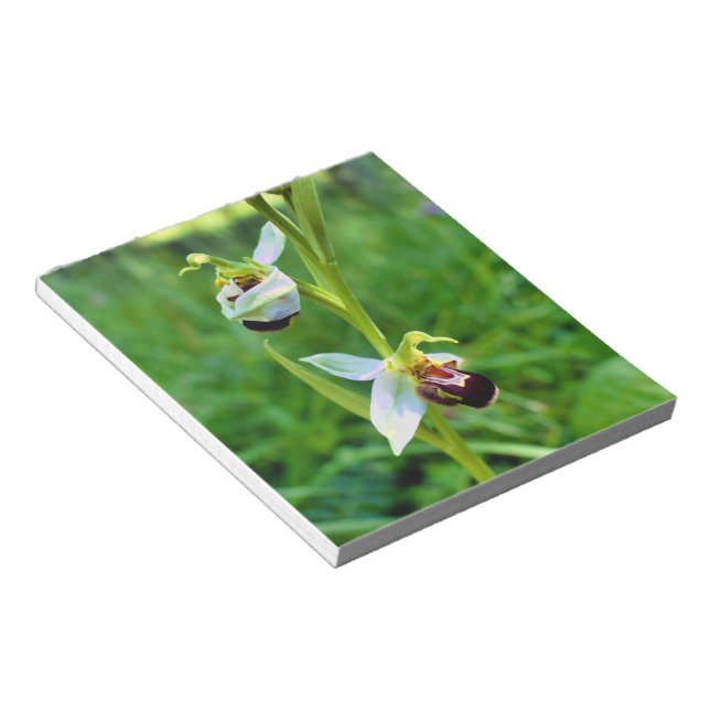 Bloc-note Orchidée (Incliné)